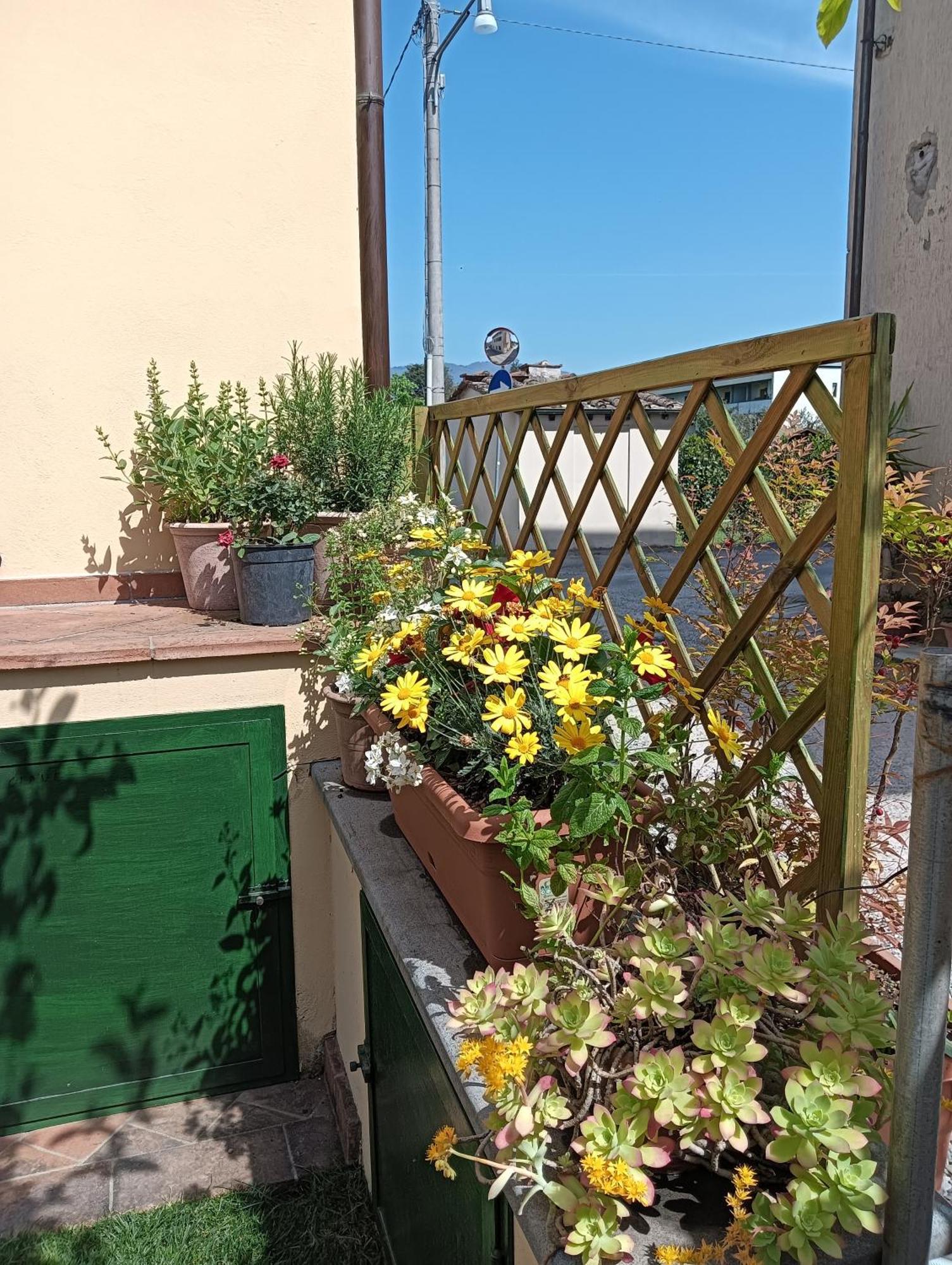 Rustico Di Corte Capannori Esterno foto