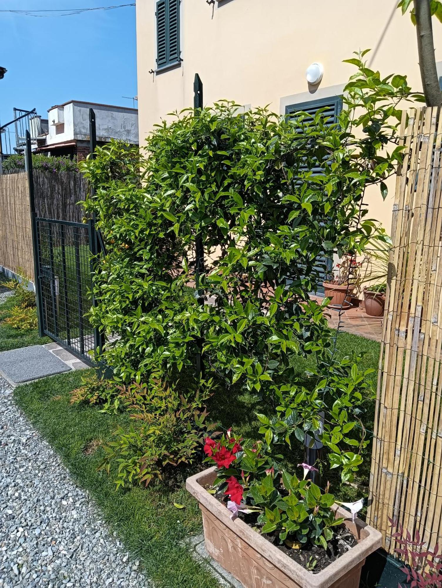Rustico Di Corte Capannori Esterno foto